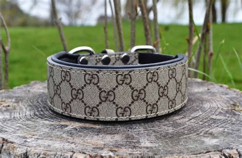 gucci dieren|gucci pet collars.